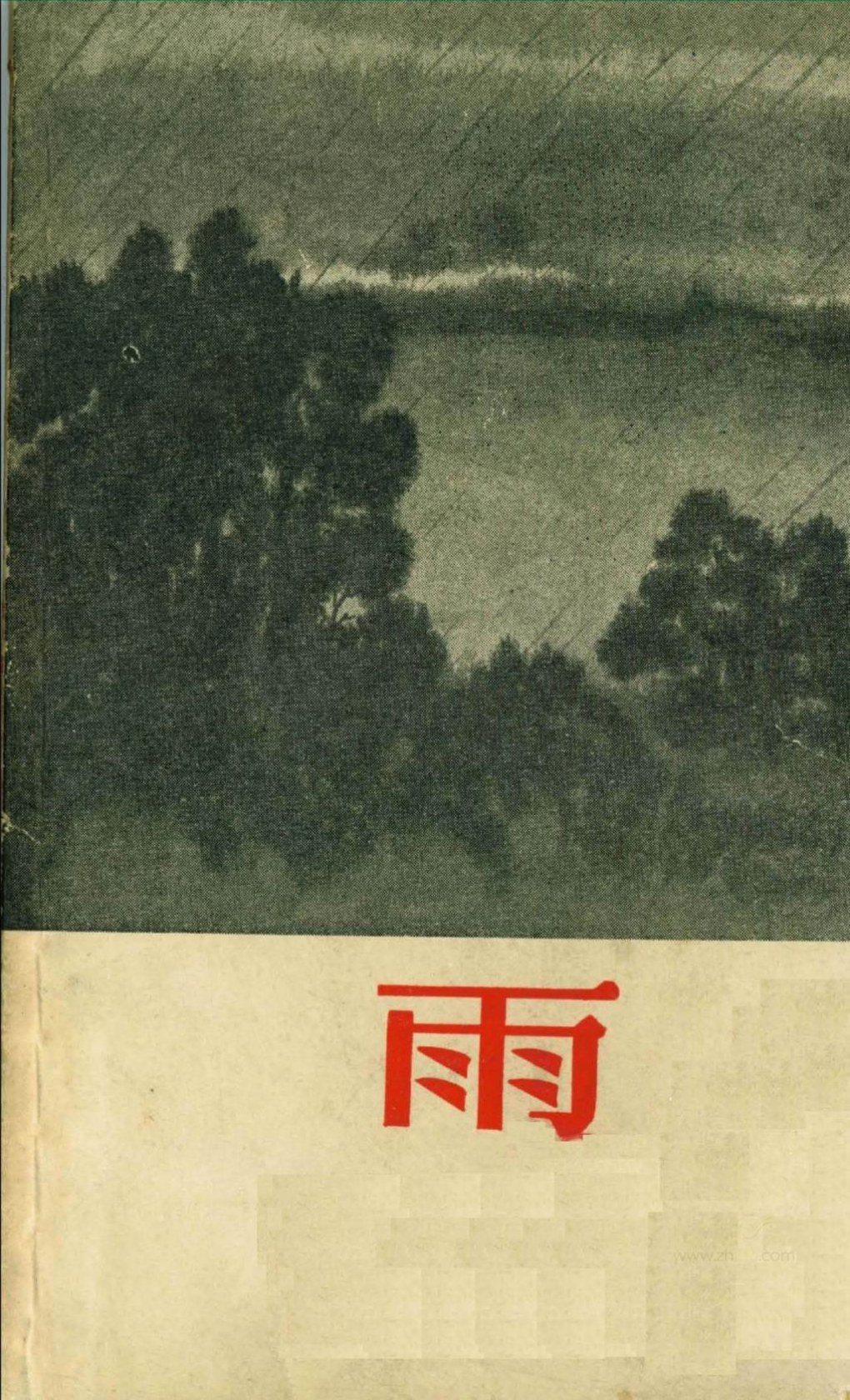 雨